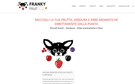 Franky fruit